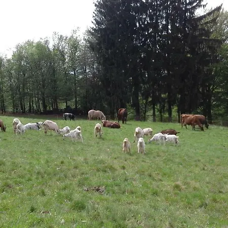 Farm stay Brugolta *